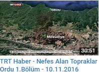 TRT Haber-Nefes alan topraklar-1 ORDU(10.11.2016).png