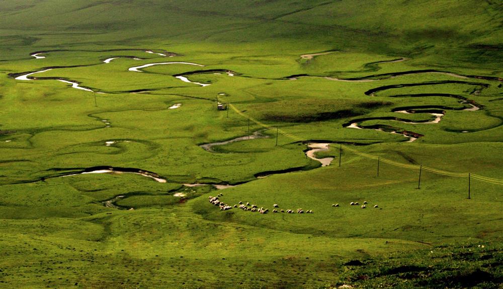 Perşembe Yaylası - Menderesler, Aybastı/Ordu