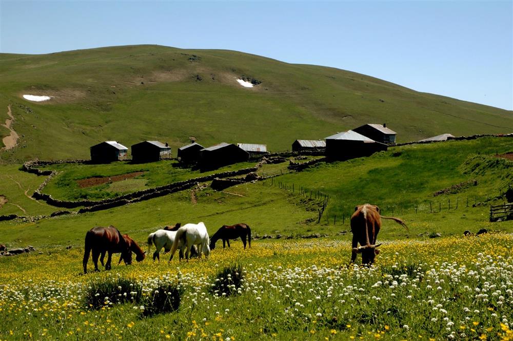 keyfalan yaylası- arşiv.JPG