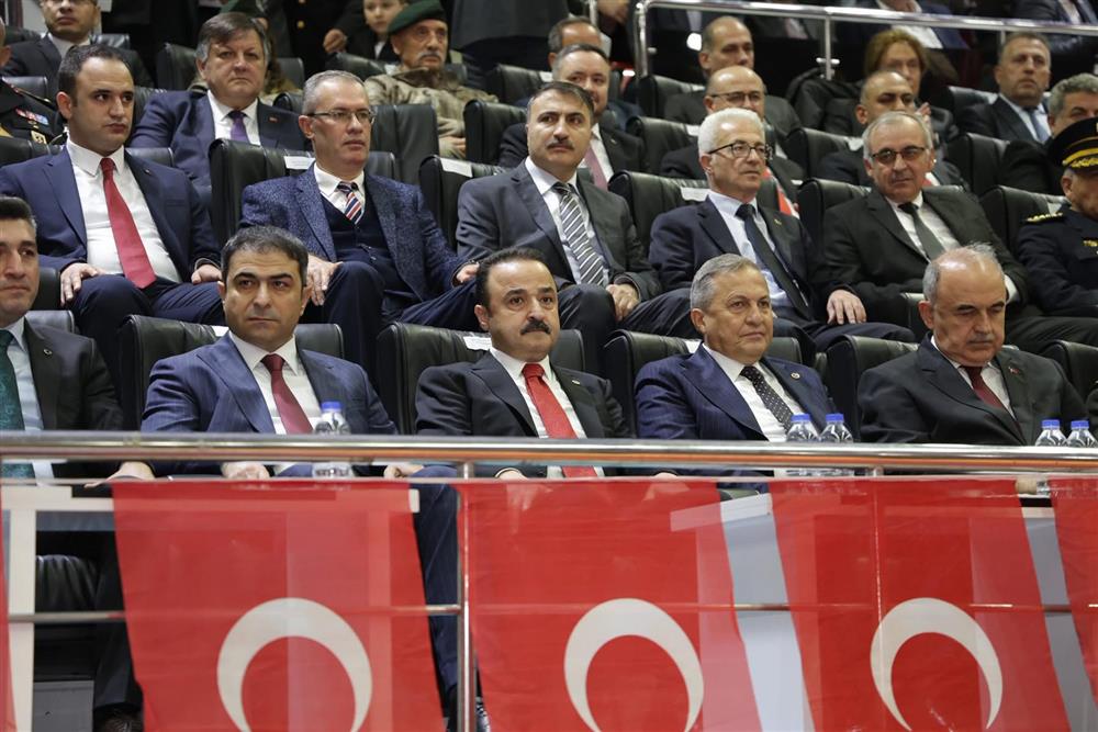 IMG 8246.JPG IMG 8246.JPG