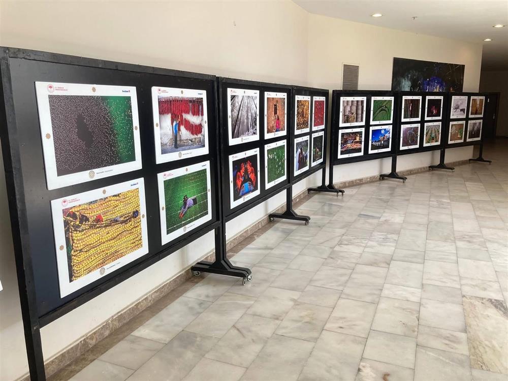 WhatsApp Image 2026-04-08 at 11.19.25  3 .jpeg